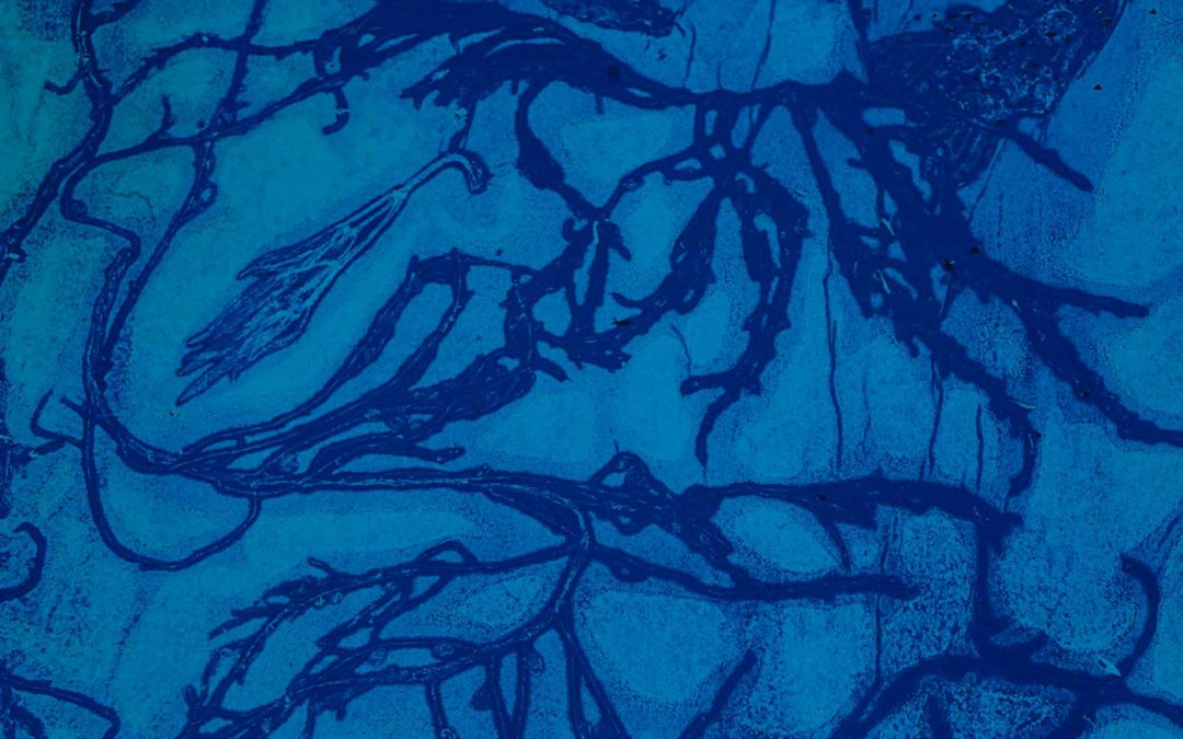 Hélène Roux, artiste graveure à Metz